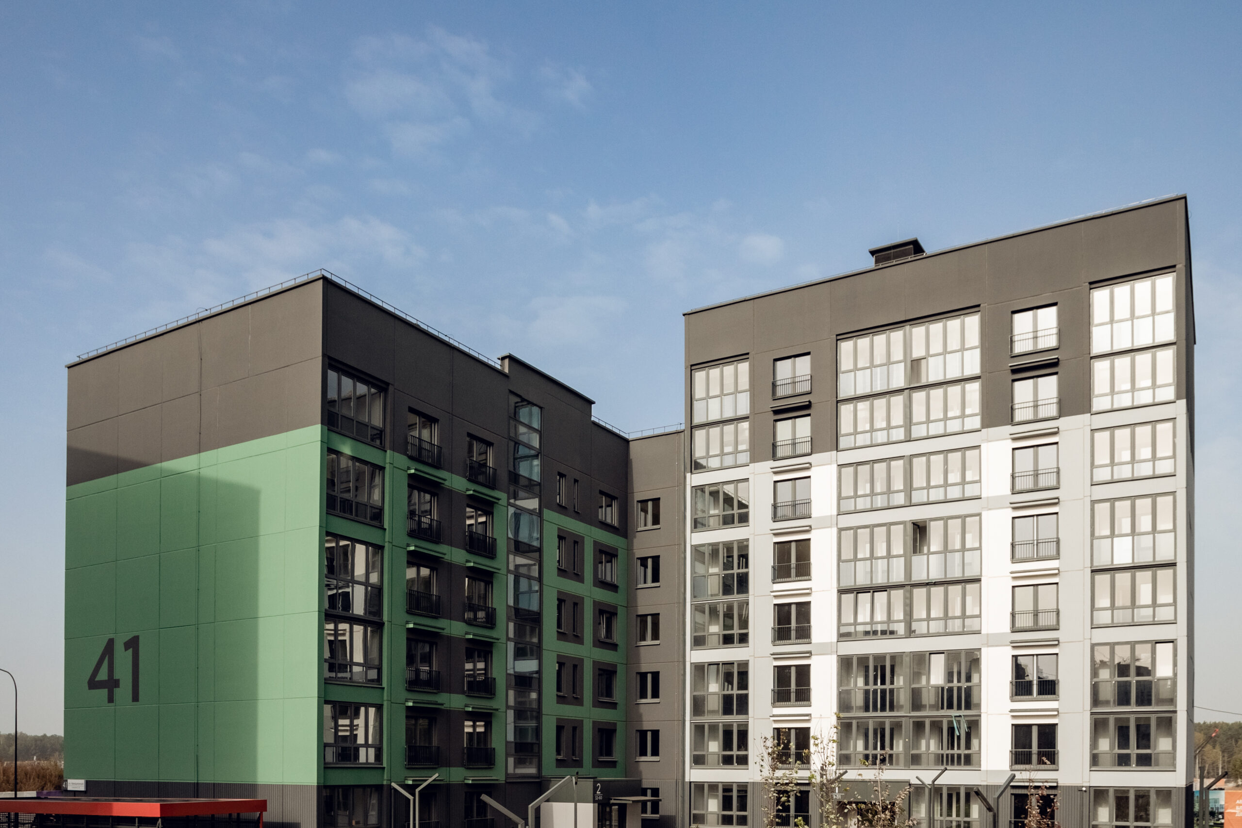 А-100. Жилой дом в Новой Боровой