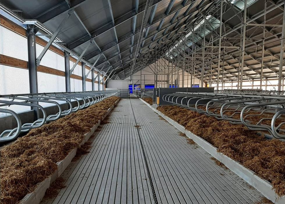 Молочно-товарный комплекс «Пальмира» на 4192 фуражные коровы, Гродненская обл., Сморгонский р-н