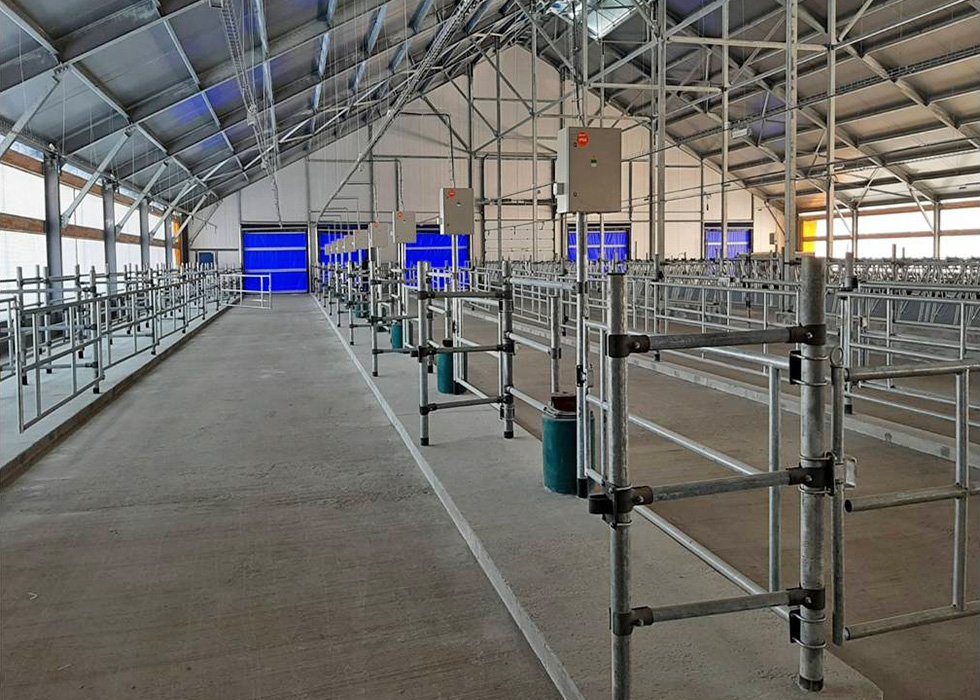 Молочно-товарный комплекс «Пальмира» на 4192 фуражные коровы, Гродненская обл., Сморгонский р-н