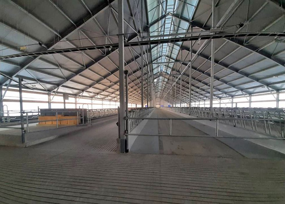 Молочно-товарный комплекс «Пальмира» на 4192 фуражные коровы, Гродненская обл., Сморгонский р-н