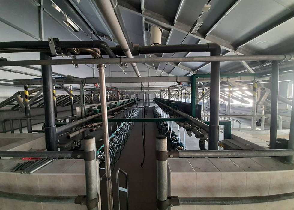 Молочно-товарный комплекс «Пальмира» на 4192 фуражные коровы, Гродненская обл., Сморгонский р-н