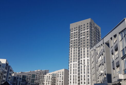 А-100. Жилой дом в Новой Боровой