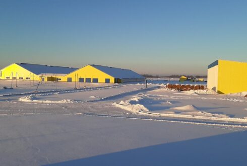 Молочно-товарный комплекс «Пальмира» на 4192 фуражные коровы, Гродненская обл., Сморгонский р-н
